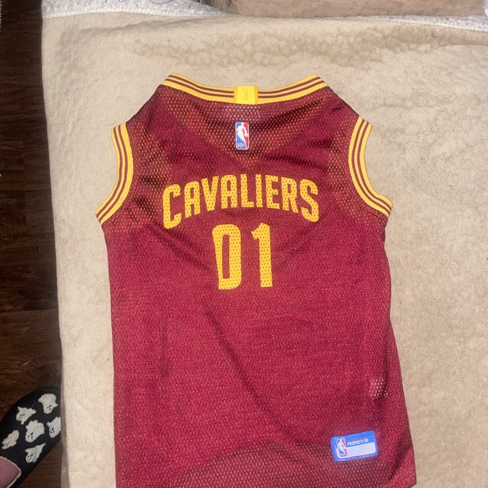 Cavaliers Basketball Jersey for DOG